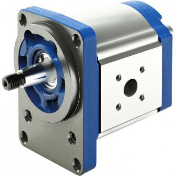 PGF2-2X/022LL20VM Original Rexroth PGF series Gear Pump