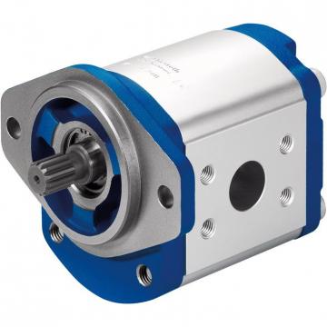 PGF2-2X/011RA01VP2 Original Rexroth PGF series Gear Pump