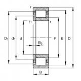 Original SKF Cylindrical Roller Bearings NUP238-E-M1 FAG