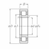 Original SKF Cylindrical Roller Bearings NUP2356 NTN