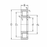 Original SKF Cylindrical Roller Bearings NUP240-E-MPA NKE