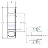 Original SKF Cylindrical Roller Bearings NUP234EM NSK