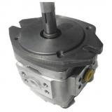 NACHI Gear pump IPH-6A-80-11