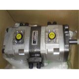 NACHI Gear pump IPH-6A-100-L-21